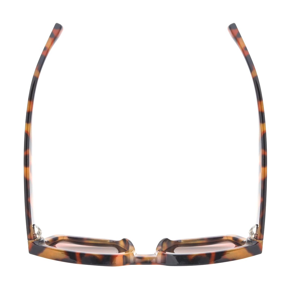 HAILEY | Tortoise | Brown Lens | Polarized Sunglasses – Wholesale Ryan ...