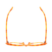 CHRYSTIE | Amber Tortoise | Blue Light