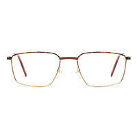 MAURICE | Gold Metal Frame | Tortoise Accent