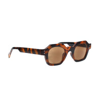 CHARLEE | Tortoise | Tinted Readers