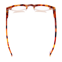 TAYLOR | Amber Tortoise | Ivory| Blue Light